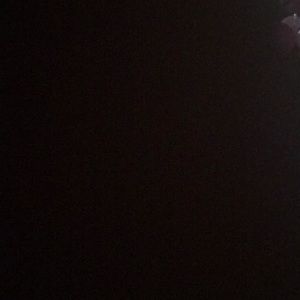 Meet your Posher, Devina